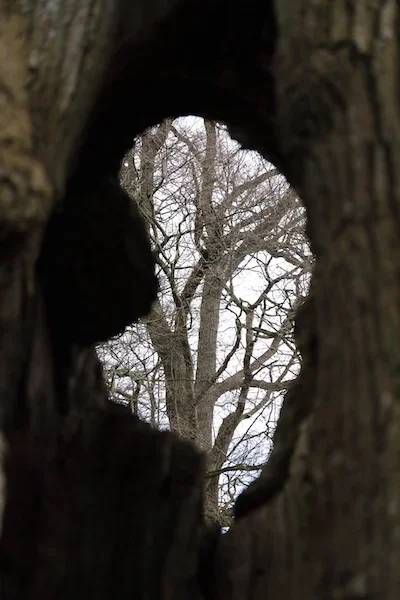 7D5A3622.webp
