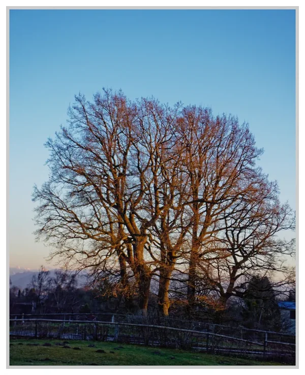 _small__DSC1629_2_DxO.webp