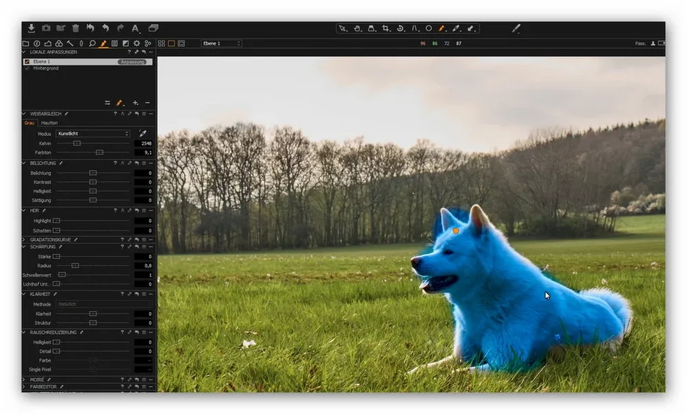 Kunstlicht.webp