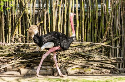 UMA_5475.jpg UMA_5475.jpg