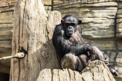 UMA_5764.jpg UMA_5764.jpg