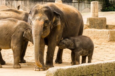 UMA_5832.jpg UMA_5832.jpg