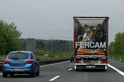 comp_IMGP9983hhh.jpg comp_IMGP9983hhh.jpg