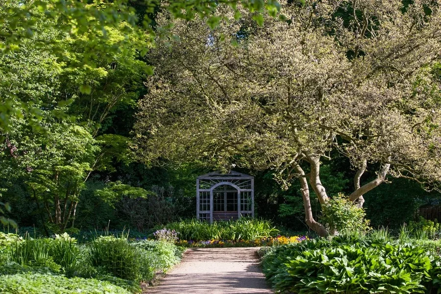 comp_15B5T3957.webp