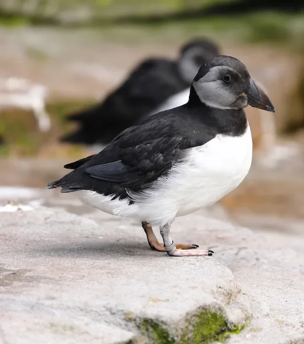 7D5A4084.webp