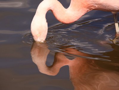 IMG_3836.JPG