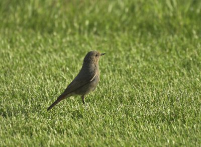 forum_DSC0883.jpg forum_DSC0883.jpg