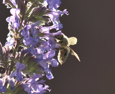 forum_DSC0899.jpg forum_DSC0899.jpg