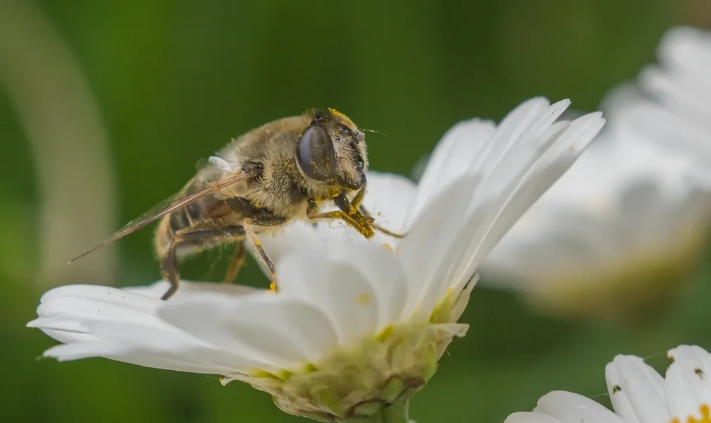 comp_IMGP5444.webp
