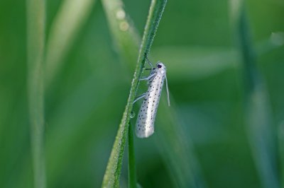 comp_201wacgfgf.jpg comp_201wacgfgf.jpg