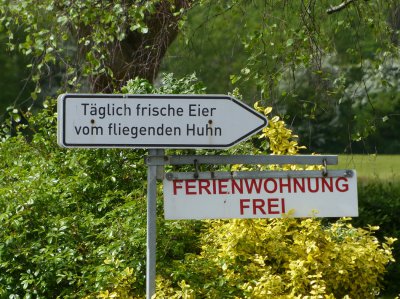 fl_Huhn.JPG fl_Huhn.JPG