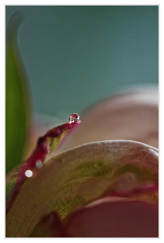 _small__IGP1977_2_DxO.webp