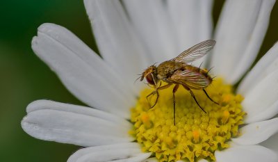 ricohStack 150717203.jpg