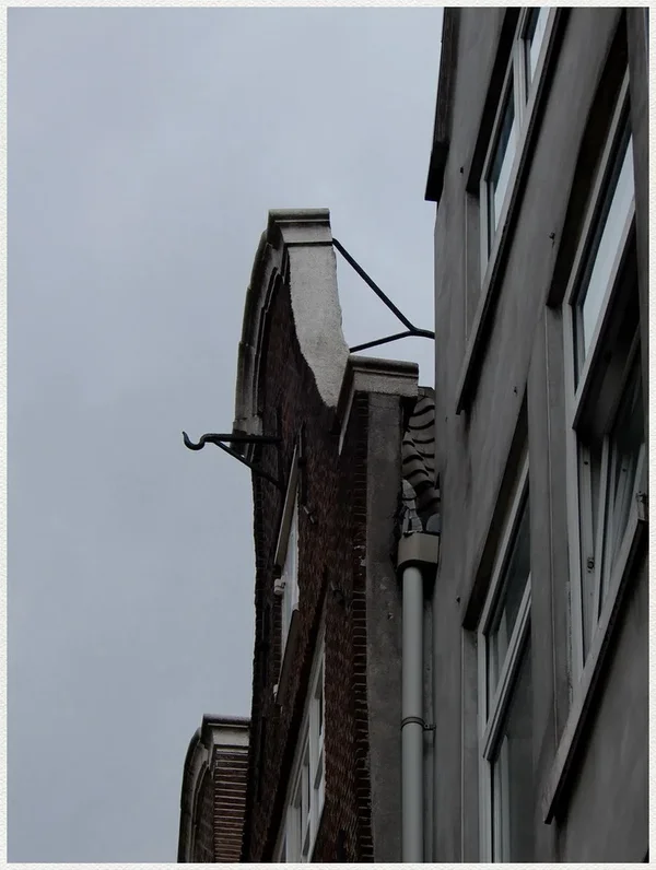 DSCN2210.webp
