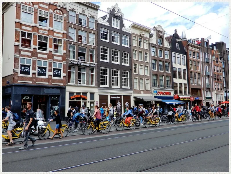 DSCN2254.webp