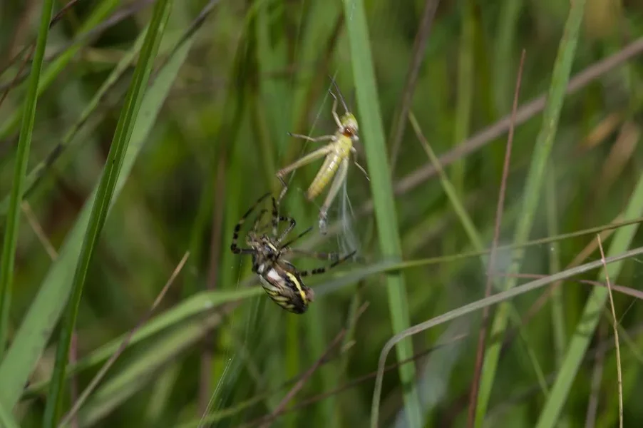 ricoh_IMG7817-2.webp