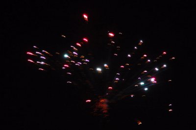 FeuerwerkFarbsprenkelmWurzelFIN_720x480.jpg