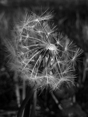 ci_IMG_20170515_204806.jpg
