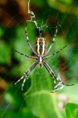 P1070404a_kl.JPG P1070404a_kl.JPG