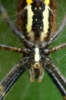 P1070405_stack_kl.jpg P1070405_stack_kl.jpg