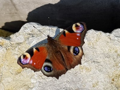 20170908_100105 - Kopie.jpg