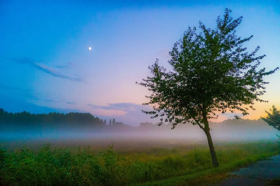 P1180630.webp