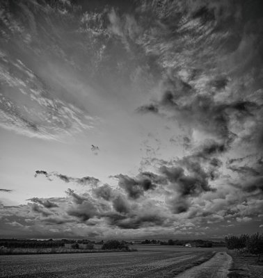ci_SAM_0152_sw.jpg