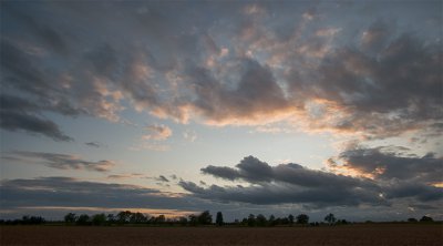 ci_SAM_0130.jpg