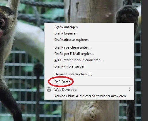 firefox_addon_FxIF-Daten_exif1.webp