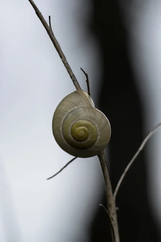 IMGP9999-1-1.webp