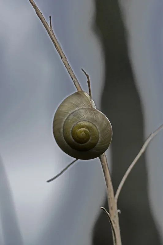 IMGP9999-3.webp