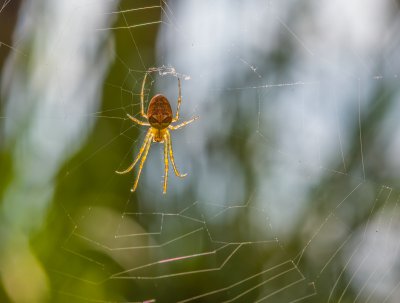 forumMoor 170917 IV.jpg