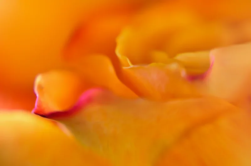 DSC_8257.webp