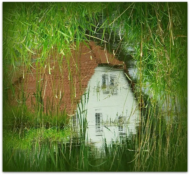 Haus im Dorfdeich.webp