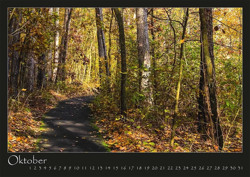 10 2017 Kalender Wege.webp