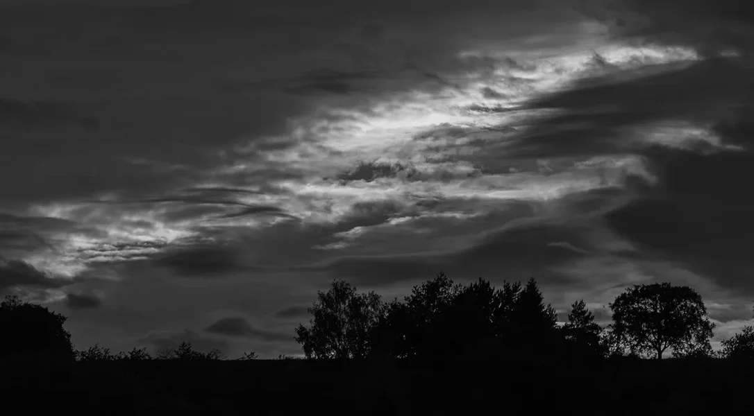 ci_SAM_0466_sw.webp