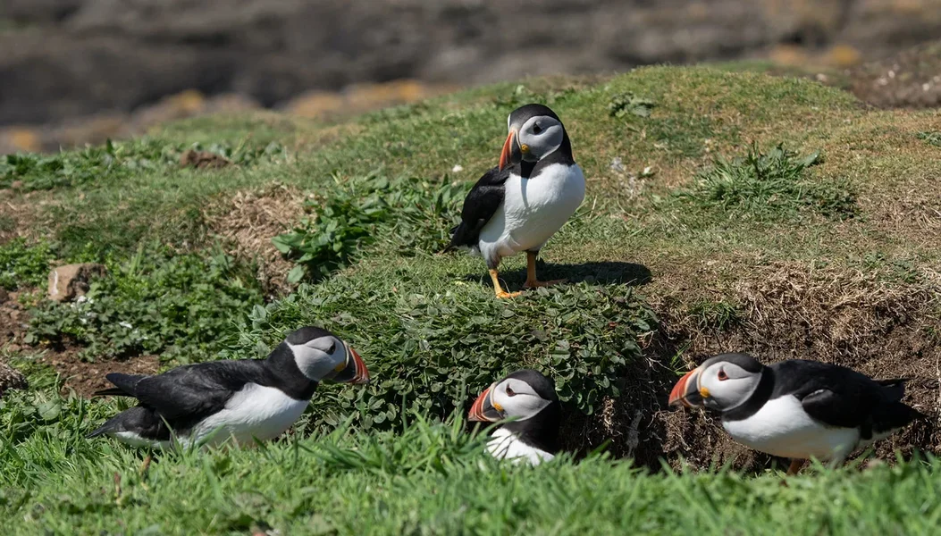 04_ci_K32_3502.webp