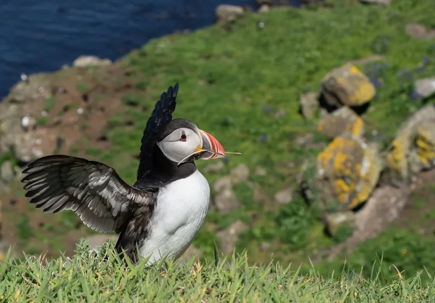 04_ci_K32_3613.webp