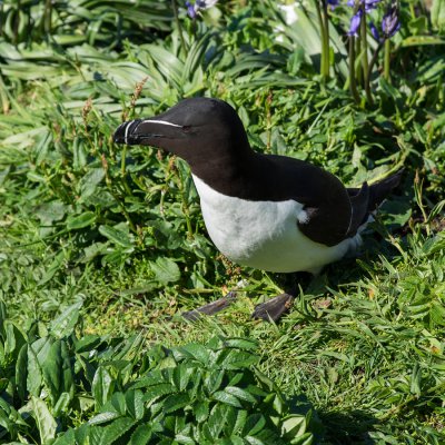05_ci_K32_3710.jpg