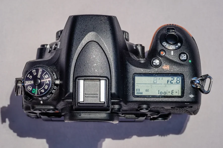 D750-1003.webp