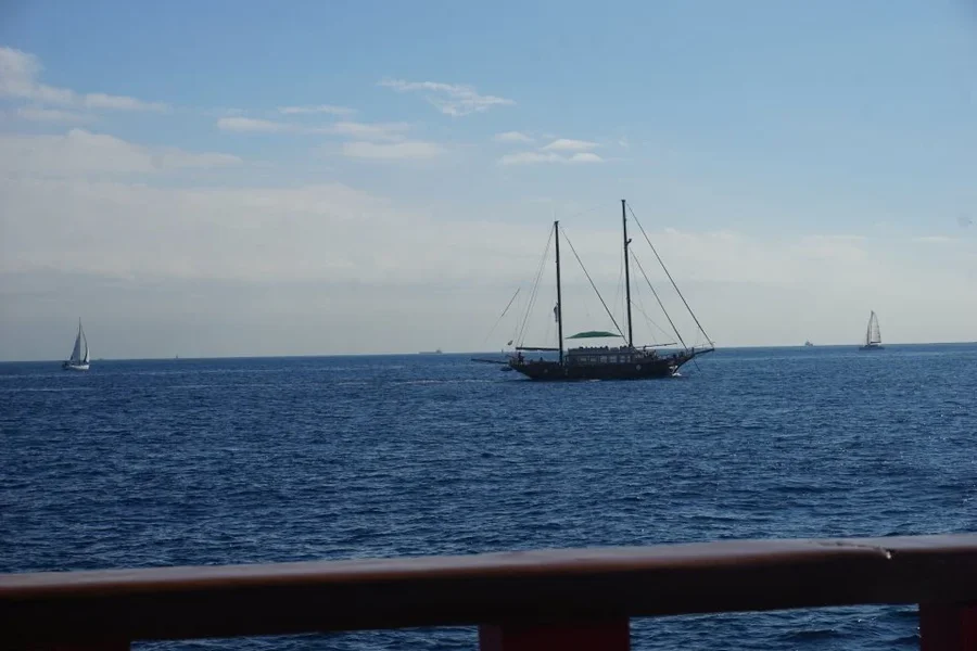 DSC04619.webp