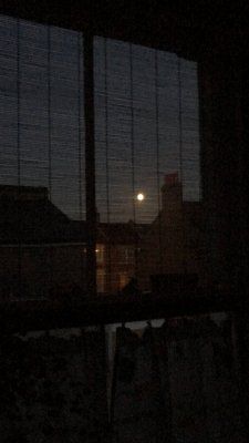 266B1409-DA83-4B48-BC86-6D78C87F91A2.jpeg