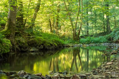 20170605-_IGP3861.jpg 20170605-_IGP3861.jpg