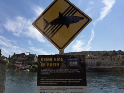 APC_0033.jpg APC_0033.jpg