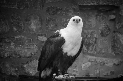 DSC02315.jpg DSC02315.jpg