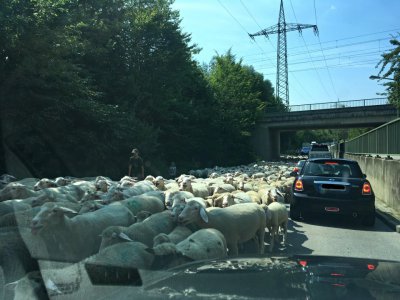 IMG_3552.jpg IMG_3552.jpg