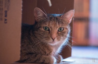 20180127-_IGP8155.jpg 20180127-_IGP8155.jpg