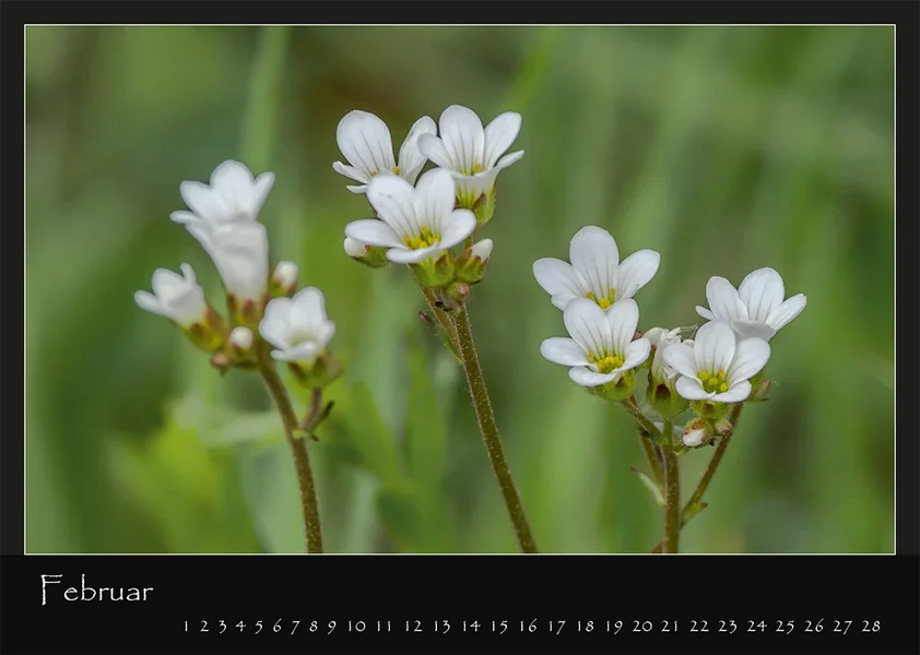 02 Kalender 2018 DIN A 4 Natur Februar.webp