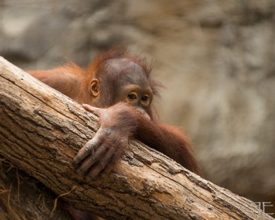20170811-_IGP5535-2.jpg