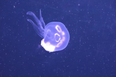 5CD11216.JPG